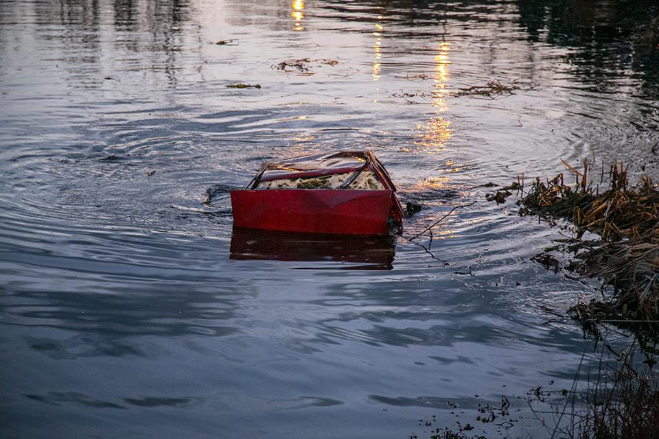 16900259_1211701895594424_1462980698_n