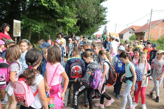 Škola-u-šumi-šuma-u-školi-3