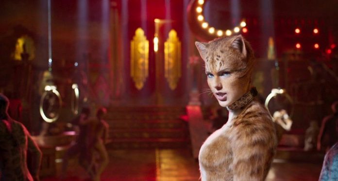 cats-39c66cf83f29f26d3201fb5c37c724c0_view_article_new