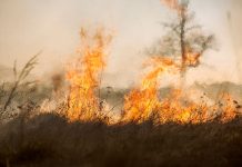 Građani pojačajte mjere opreza kod spaljivanja korova