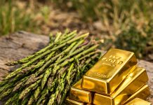 Na tržnicama stigla “kraljica proljeća”: Šparoge