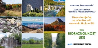 Likovni izazov iz srca Like: OŠ Perušić i PP Grabovača traže najljepše radove o životinjskom svijetu