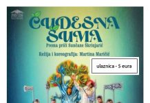 Čudesna šuma – plesna predstava ansambla GK “Zorin Dom” Karlovac