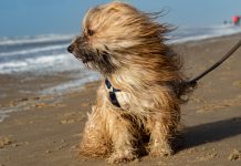 Stiže treća marčana bura: Udari do 180 km/h