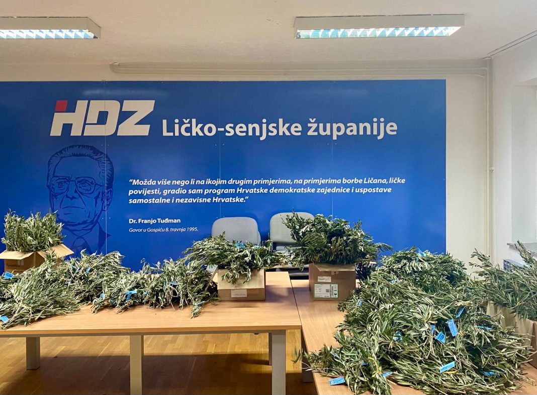 f0ab622b-dd09-4e11-bfb7-a71dbfb189d9