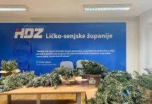 Ususret Cvjetnoj nedjelji: HDZ organizira druženje na gospićkoj tržnici