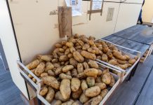 Gospićka placa petkom