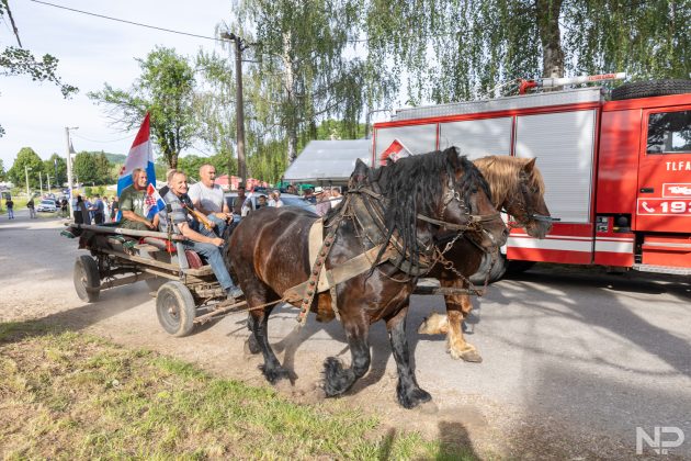 DD Klanac 44