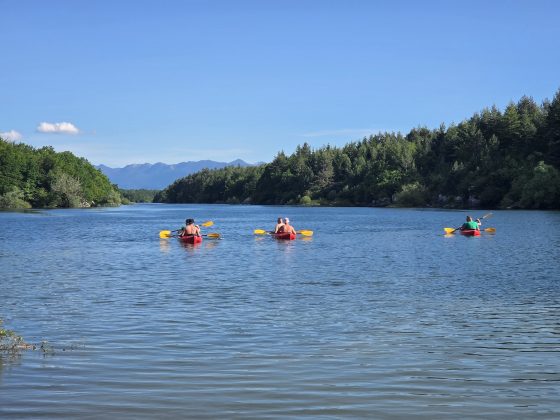 IMG 20260613 WA0050