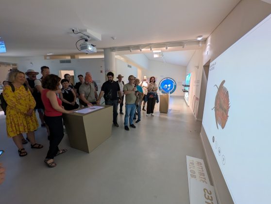 Terenska edukacija u Portugalu Erasmus 7