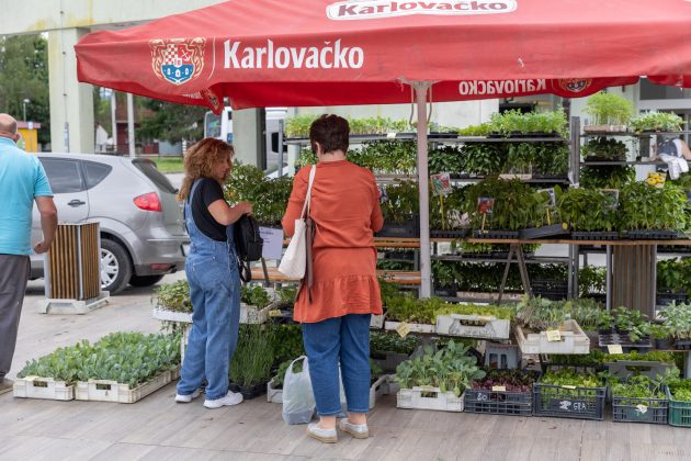 Trznica 8