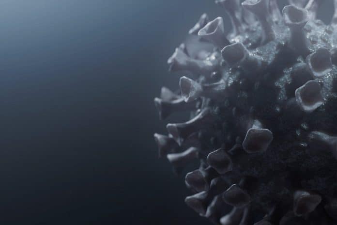 samuelfjohanns-virus-6170966_1280