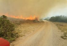 Dva kanadera i deseci vatrogasaca gasili požar iznad Senja